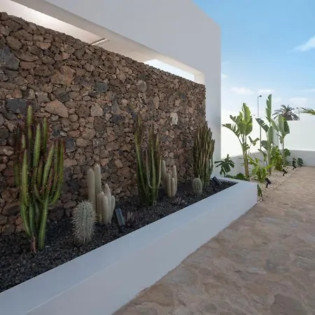 Noma - Design Space With Pool In *